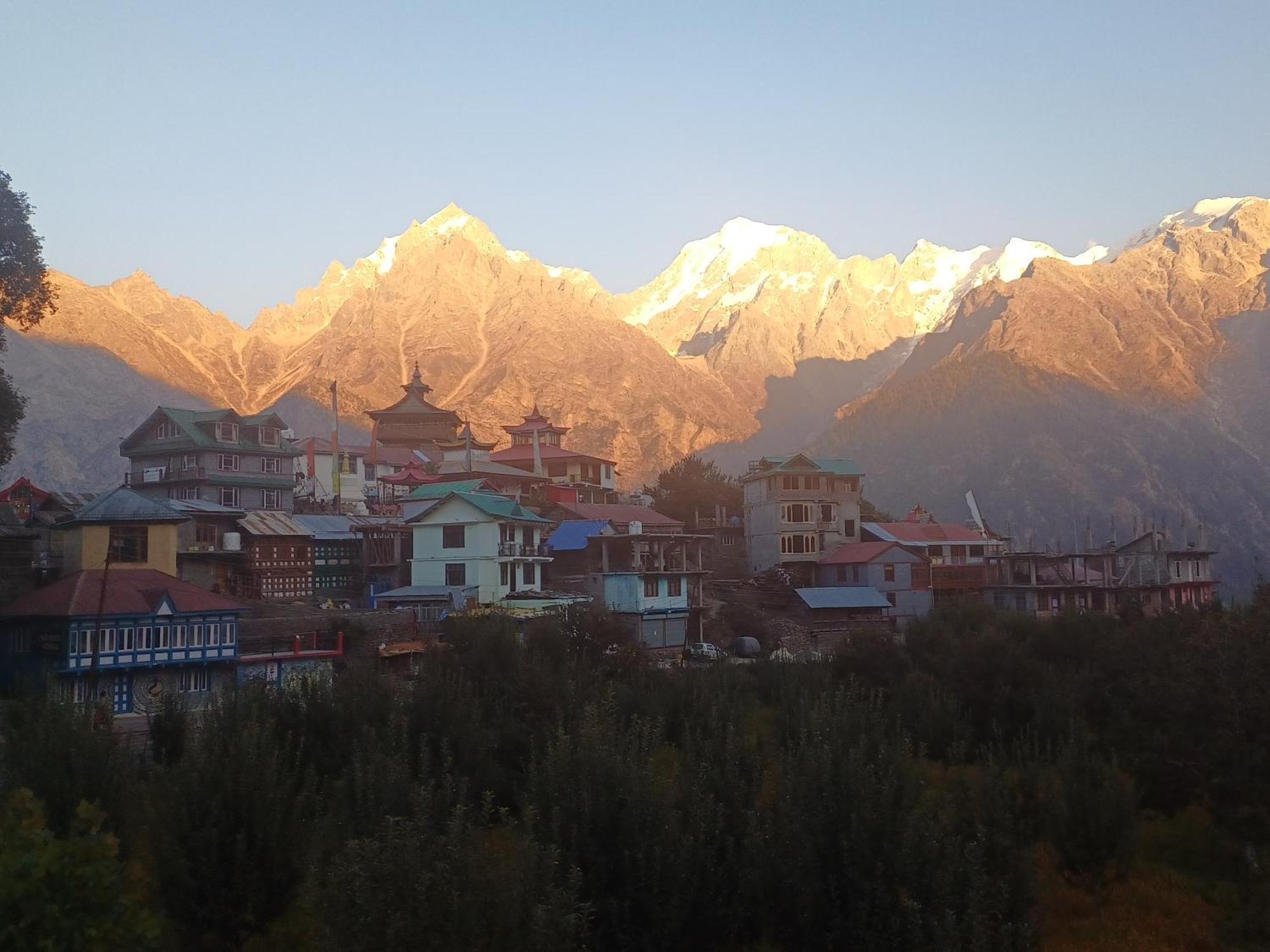 Pine View Retreat Homestay Kalpa Zewnętrze zdjęcie